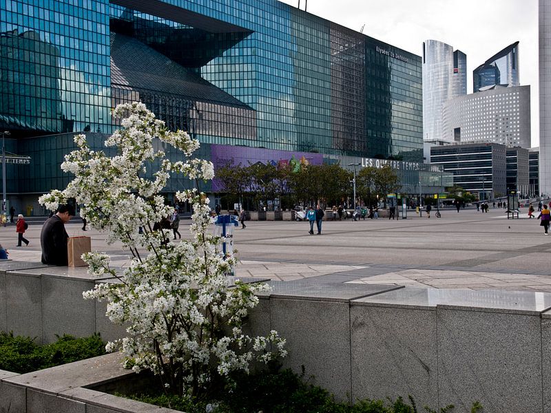 Lentebloesem op het plein van La Defense, Parijs by M  van den Hoven