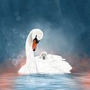 Swan with a chick between the feathers by Teuni's Dreams of Reality thumbnail