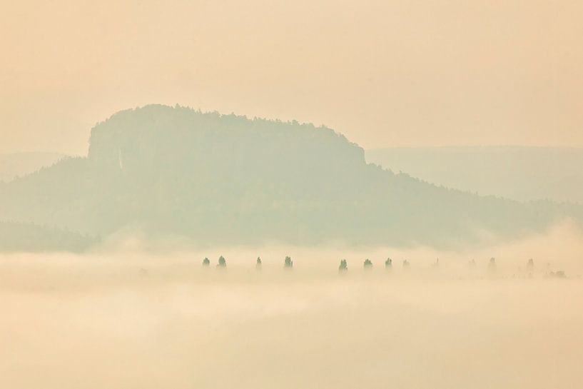 Pfaffenstein von Sylvio Dittrich