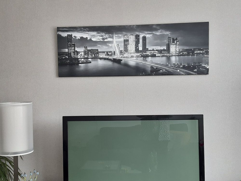Skyline Rotterdam Erasmus Bridge - Black and White  by Vincent Fennis 