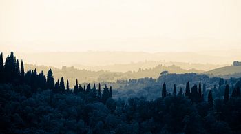 Layers of trees