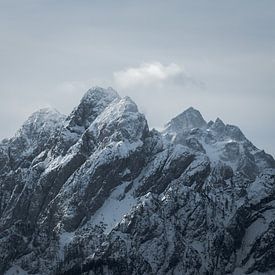 Winter in de  Alpen van Youri Zwart