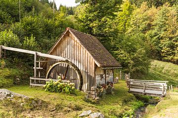 Wassermühle im Schwarzwald von Conny Pokorny