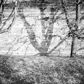 Shadows on the wall - Stadspark Maastricht van Streets of Maastricht