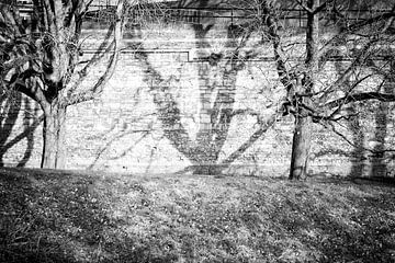 Shadows on the wall in the urban park of Maastricht by Streets of Maastricht