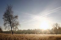 Winter Deelense Veld