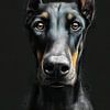 Dobermann Hund #Hund von JBJart Justyna Jaszke