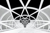 Netkous Fietsbrug over de snelweg A15 bij Rotterdam van Etienne Hessels thumbnail