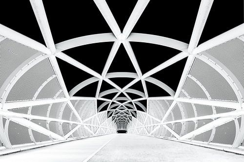Netkous Fietsbrug over de snelweg A15 bij Rotterdam