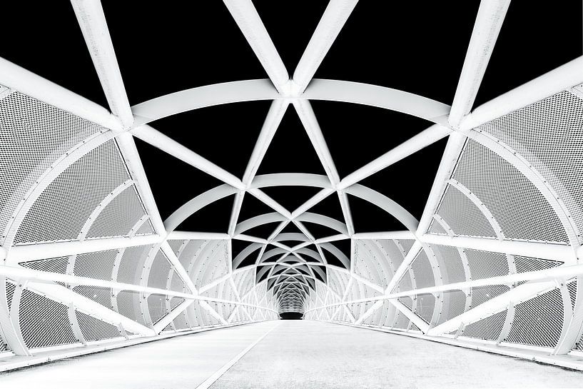 Netkous Fietsbrug over de snelweg A15 bij Rotterdam van Etienne Hessels