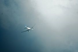 In der Luft verschwunden von Milan Flik