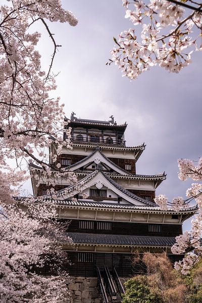 Schloss von Hiroshima während der Kirschblütenzeit von Mickéle Godderis