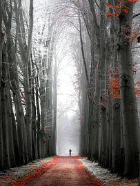 Der kümmerliche Mann..... von Willem Jongkind