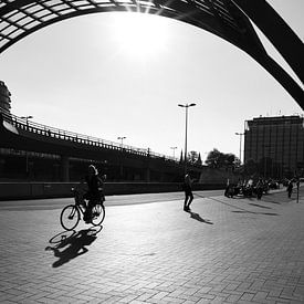 Sonniger Bogen. von JRobert Photography