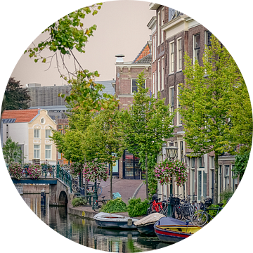 Oude Rijn Leiden van Dirk van Egmond