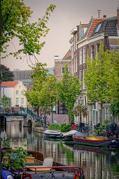 Old Rhine Leiden by Dirk van Egmond