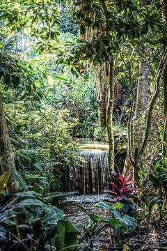 Sri Lanka Beauté de la nature sauvage