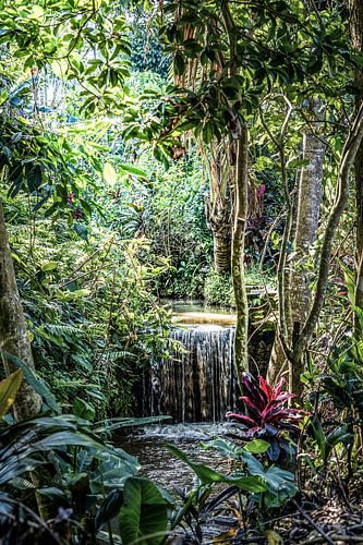 Sri Lanka Beauté de la nature sauvage