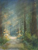 Sonne getränkte Redwoods., Danhui Nai