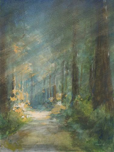 Sun Soaked Redwoods, Danhui Nai