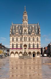 Oudenaarde Town Hall by Richard Wareham
