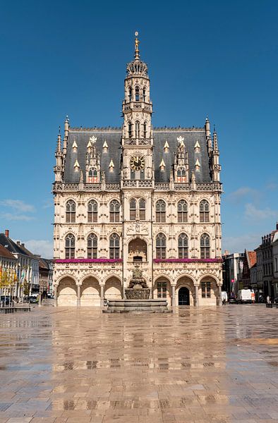 Oudenaarde Stadhuis van Richard Wareham