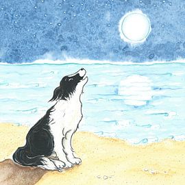 Sendie und der Vollmond von Rianne Brugmans van Breugel