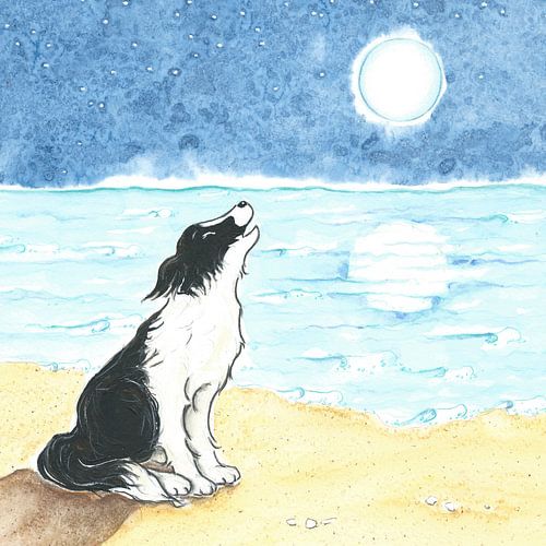 Sendie en de volle maan