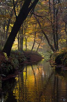 Sterkselse Aa près de Heeze en sphères d'automne