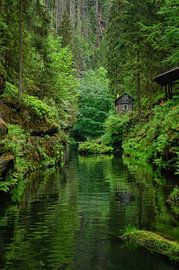 Tiny House in the wild by Leon Okkenburg