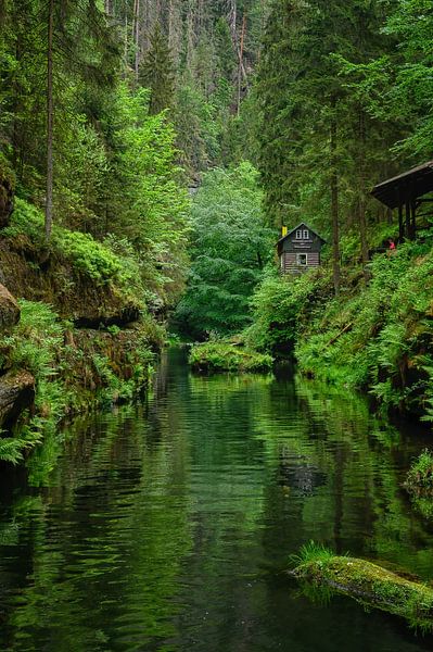 Tiny House in the wild van Leon Okkenburg