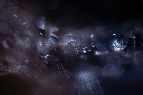 Abstracte Foto | Paars en Blauw | Natuurfotografie