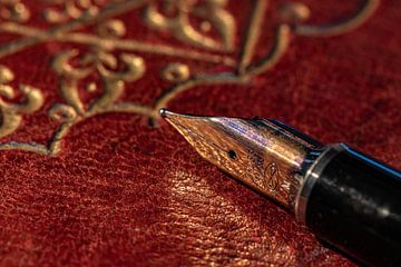 The fountain pen by Irene Ruysch