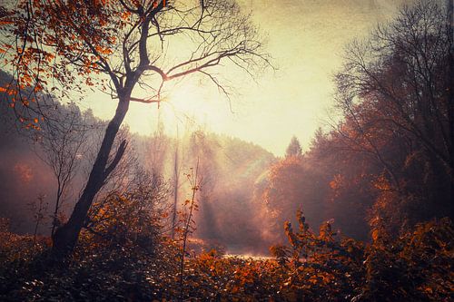 Herfstzonsopgang bij de rivier