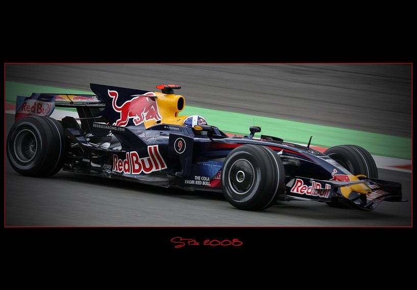 Formel 1 2008 von Leo van Valkenburg