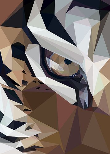 Half gezicht tijger laagpolig extreem close-up