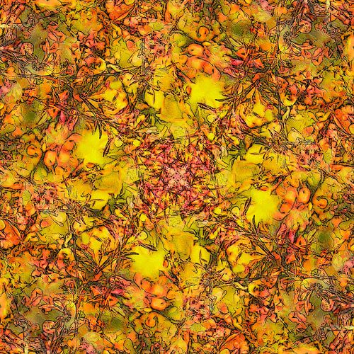 Berberis Folly