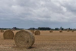 Stroh rollt auf einem niederländischen Feld