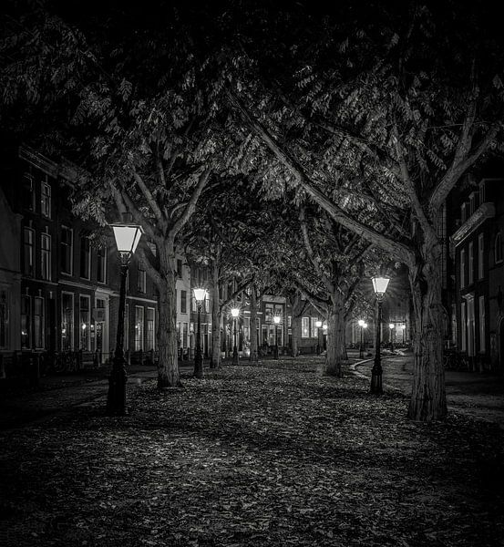 Leiden by night von Nick van der Zwan