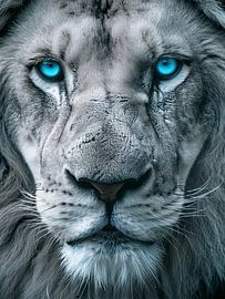 Mindset Business Motivation von FotoKonzepte