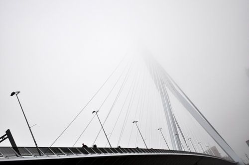 Erasmus bridge in the fog