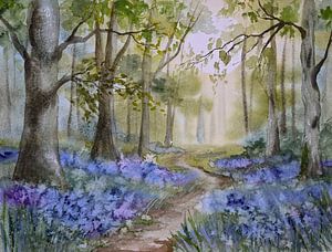 Aquarelle n° 294