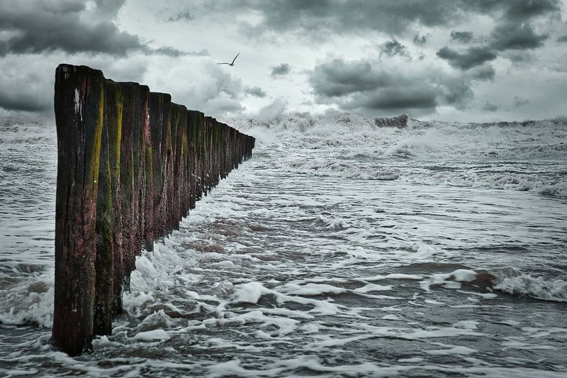 Corrie: Der Sturm von Evert Jan Looise