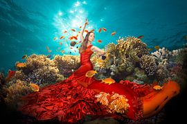 Spanische Tänzer von Dray van Beeck