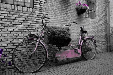 Tandem bike