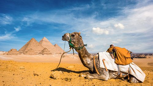 Die Pyramiden von Gizeh