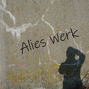 Alies werk Profile picture