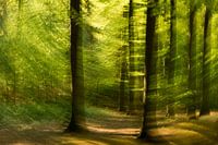 frisgroen in beweging