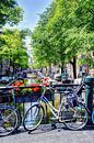 Jordaan Egelantiersgracht Amsterdam Nederland van Hendrik-Jan Kornelis thumbnail