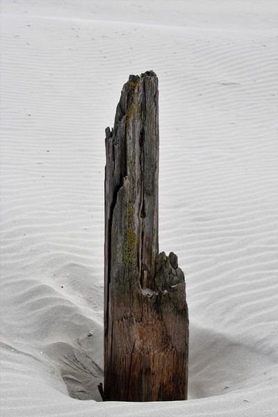 Strand von Bettie Fischer